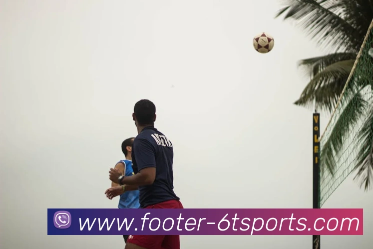 6T体育APP 封面图